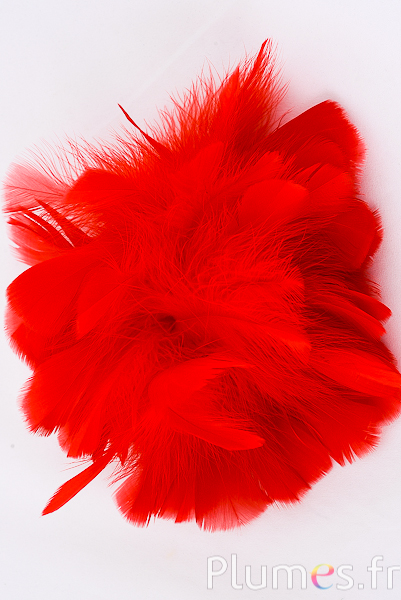 Dinde mèche - Ø 18 cm - rouge